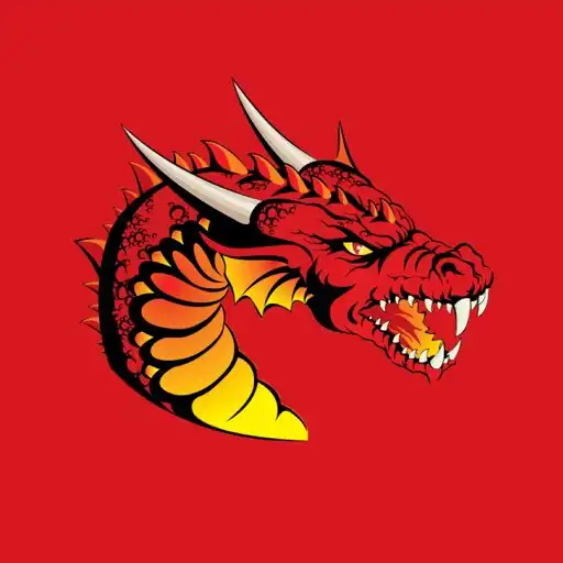 Play Dragons Catalans APK