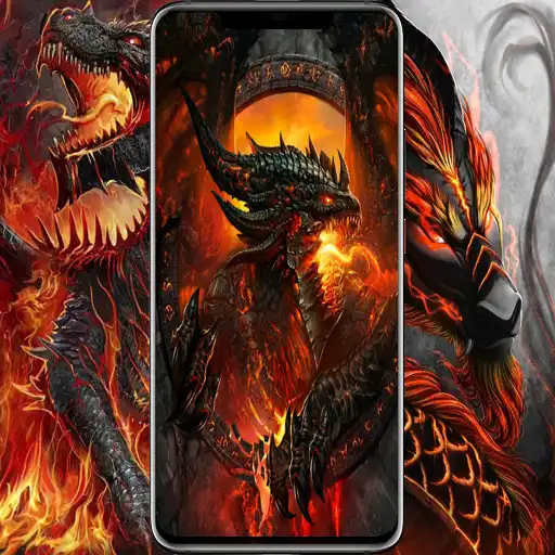 Play Dragon Video  Live Wallpaper APK