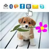 Free play online Draw and send APK