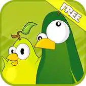 Free play online Draw Fruit Birds World Free APK Free play online Draw Fruit Birds World Free APK