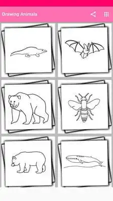 Play Drawing Ainmals
