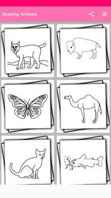 Play Drawing Ainmals