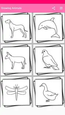 Play Drawing Ainmals