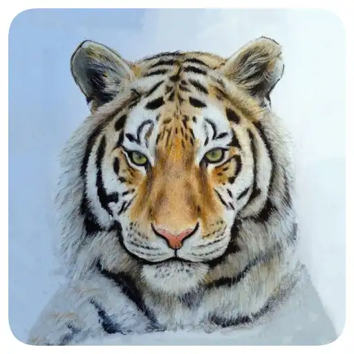 Play Drawing Animal Arts Tutorial APK Play Drawing Animal Arts Tutorial APK