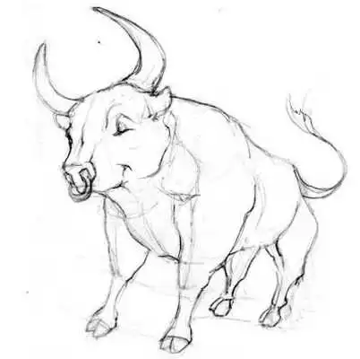 Play Drawing Animals Concept