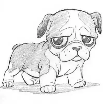 Play Drawing Animals Concept