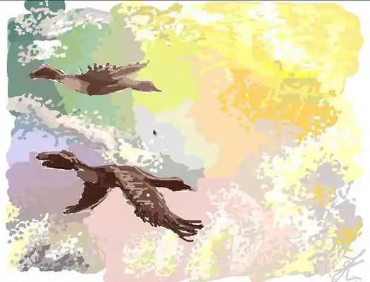 Play Drawsum.com Play Drawsum.com