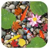 Free play online Dream Fish Pond APK