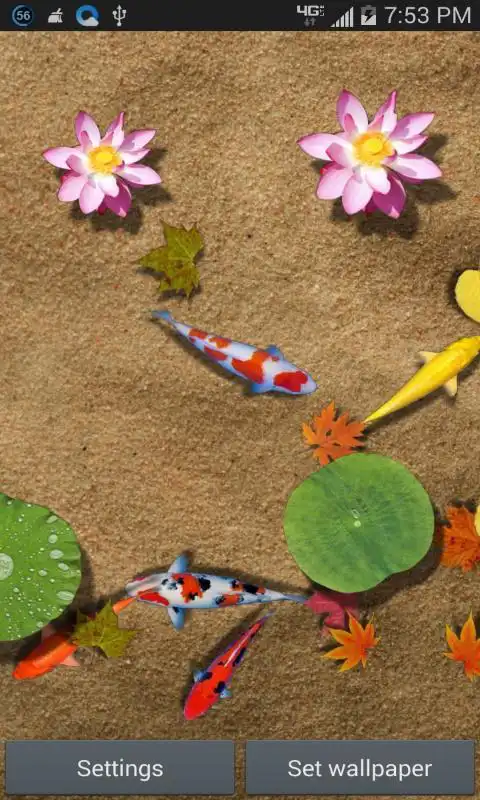 Play Dream Fish Pond