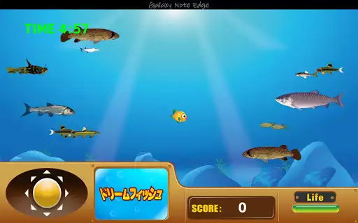 Play Dream Fish  and enjoy Dream Fish with UptoPlay