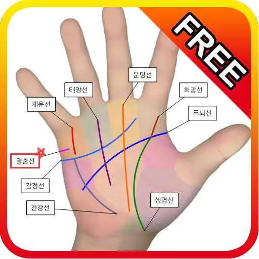 Free play online Dream interpretation&coronary  APK
