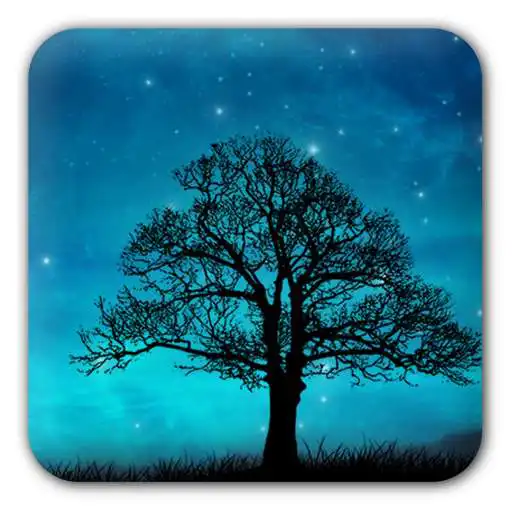 Free play online Dream Night Free LiveWallpaper APK