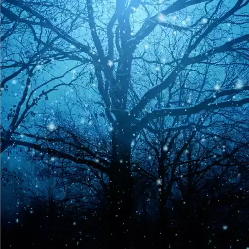 Free play online Dream Night Live Wallpaper APK Free play online Dream Night Live Wallpaper APK