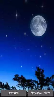 Play Dream Night Live Wallpaper