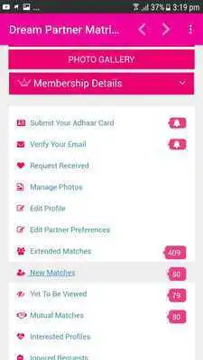 Play Dream Partner Matrimony