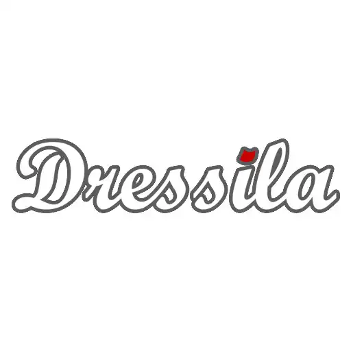 Play Dressila APK