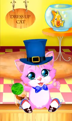 Play Dress Up Cat