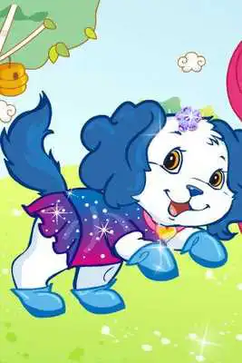 Play Dress Up Your Pet Dog