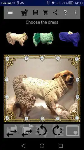 Play Dress your pet #Chuchundrochka  and enjoy Dress your pet #Chuchundrochka with UptoPlay