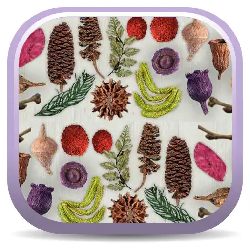 Run free android online Dried Botanicals Key APK