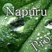 Free play online Drip Of Insight Relaxation APK