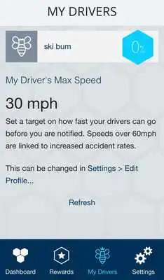 Play Drive Beehive