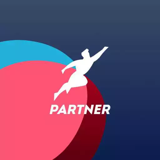 Play Driver Partner by Ferto APK