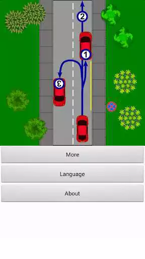 Play Driver Test: Parking