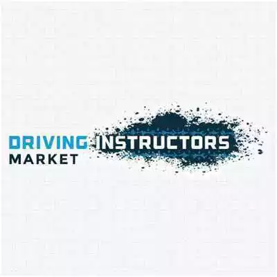 Play Driving Instructor Market