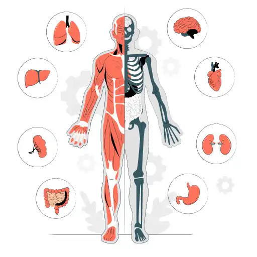Play Dr Mohamed Gamal APK