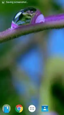 Play Drop Flower Video Wallpaper