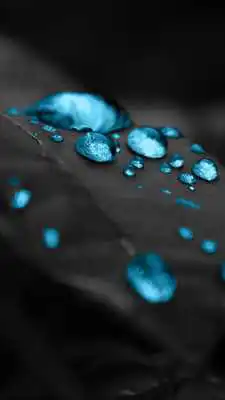 Play Drop Live Wallpaper Play Drop Live Wallpaper