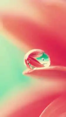 Play Drop Live Wallpaper Play Drop Live Wallpaper