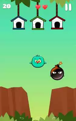 Play Droppy Birds - Tap to Fly