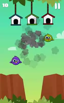 Play Droppy Birds - Tap to Fly
