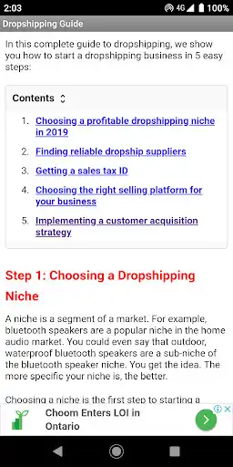 Play Dropshipping Ultimate Guide as an online game Dropshipping Ultimate Guide with UptoPlay