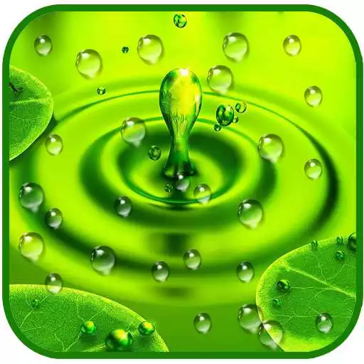 Play Drops Rain Live Wallpaper APK