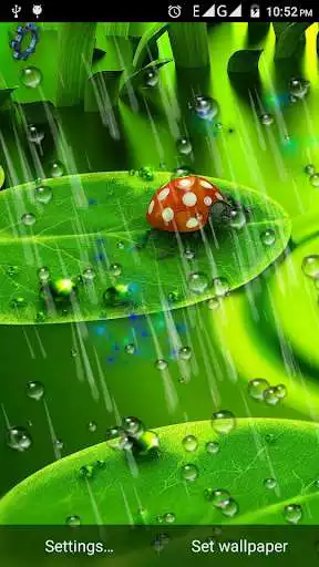 Play Drops Rain Live Wallpaper  and enjoy Drops Rain Live Wallpaper with UptoPlay