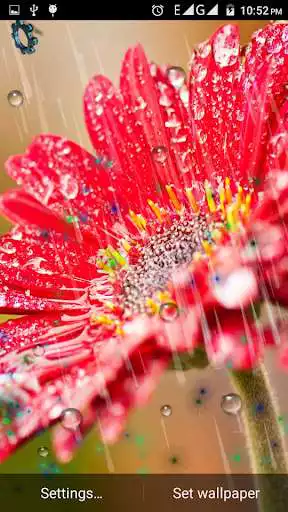 Play Drops Rain Live Wallpaper as an online game Drops Rain Live Wallpaper with UptoPlay