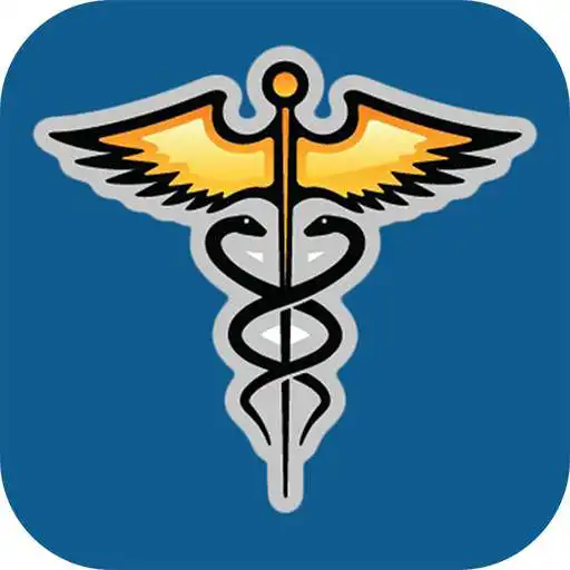 Play Dr Pal APK
