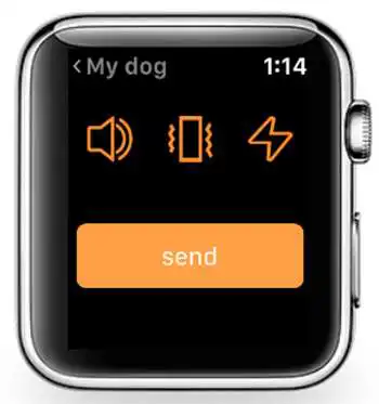 Play Dr.Trainer  and enjoy Dr.Trainer with UptoPlay