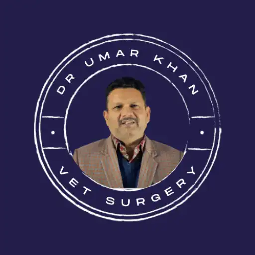 Play Dr. Umar Khan APK