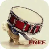 Free play online Drum Lessons For Beginners APK