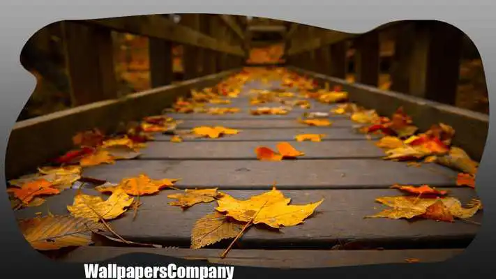 Play Dry Leaves Wallpaper
