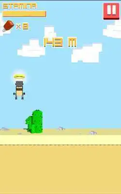 Play Dry Runner