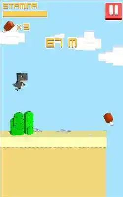 Play Dry Runner