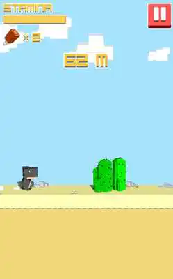 Play Dry Runner