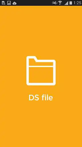 Play DS file