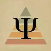 Free play online DSM 5 Practice Exam Prep 2019 APK