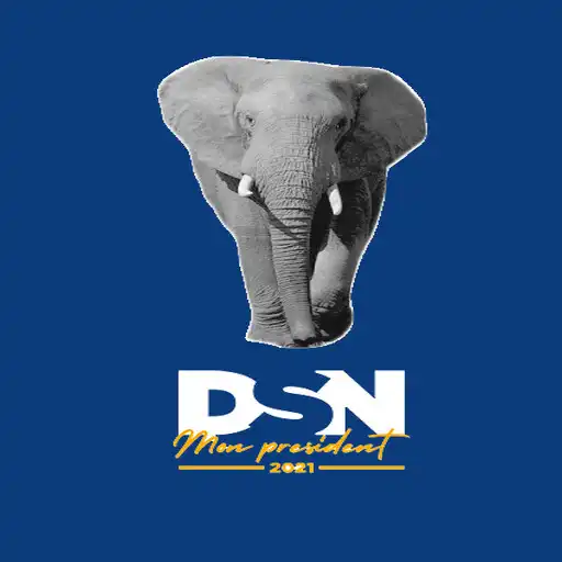 Play DSN 2021 APK